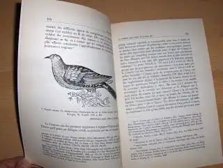 Bodson *, Liliane: L`APPORT DE LA TRADITION GRECO-LATINE A LA CONNAISSANCE DU COUCOU GRIS. Extrait de "History and Philosophy of the Life Sciences" - Volume 4, N° 1. 