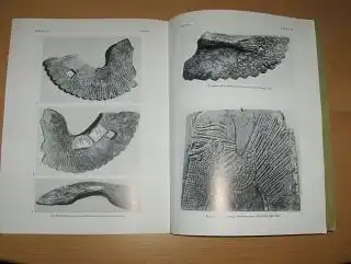 von Hase *, Friedrich-Wilhelm: ZUM FRAGMENT EINES ORIENTALISCHEN BRONZEFLÜGELS AUS VETULONIA (Taf. 81-83). Sonderdruck - Estratto - Extrait aus MITTEILUNGEN DES DEUTSCHEN ARCHAEOLOGISCHEN INSTITUTS ROEMISCHE ABTEILUNG BAND 79,1972. 