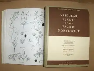 Hitchcock, C. Leo, Arthur Cronquist and Marion/J. W. Ownbey/Thompson: VASCULAR PLANTS OF THE PACIFIC NORTHWEST * : PART 2: Salicaceae to Saxifragaceae. 