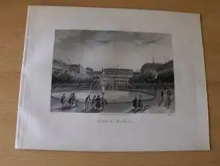 GRAVURE (AQUATINTA) ORIGINALE : PALAIS-ROYAL - d`apres (nach) SCHMIDT - gravee (gestochen von) par MARTENS. Mit d. Parkanlage, Gärten, Wasserspiel, Spaziergänger, Kinder, Hunden, Fahnen (republikan. Louis-Philippe), Bäume. 