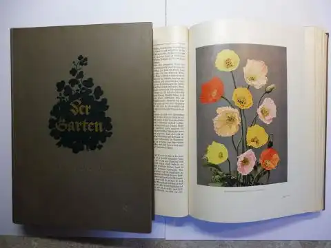 Schindler (bearbeitet von), Prof. Dr.  A. R. und Staatl. Gartendirektor Paul Rache: Der Garten und seine Jahreszeiten - Das große praktische Gartenbuch mit 1800 Abbildungen. 2 Bände. Komplett *. 