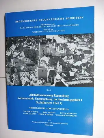Walter R. Heinz / Karl Hermes / Peter Höhmann und Hans Kilgert / Peter Schöber / Wolfgang Taubmann: Altstadterneuerung Regensburg - Vorbereitende Untersuchung im Sanierungsgebiet I Sozialbericht (Teil 1) *. 