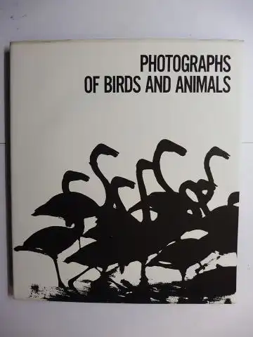 Yamaguchi, Shosuke, Ogino Masao (Art Director)  Ryukoshiya (Photo-graving) u. a: PHOTOGRAPHS OF BIRDS AND ANIMALS *. 