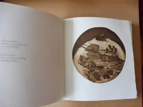 Groißmeier, Michael und Klaus Eberlein (Illustrator): Zwiegespräch mit einer Aster - Haiku mit Illustrationen von Klaus Eberlein. SONDERN-VORZUGSAUSGABE mit 17 eingebundenen signierten ORIGINAL-RADIERUNGEN * VON KLAUS EBERLEIN. + 2 AUTOGRAPHEN. 