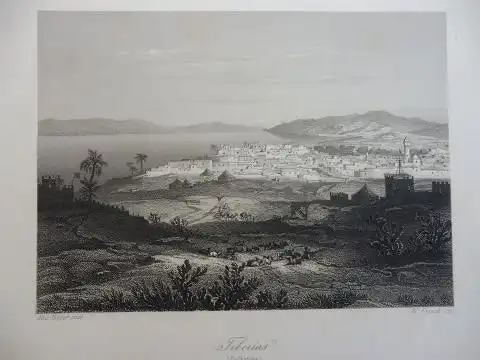 Geyer, Alex. und W. French s.c: ORIGINAL- STAHLSTICH : Tiberias (Palästina). 