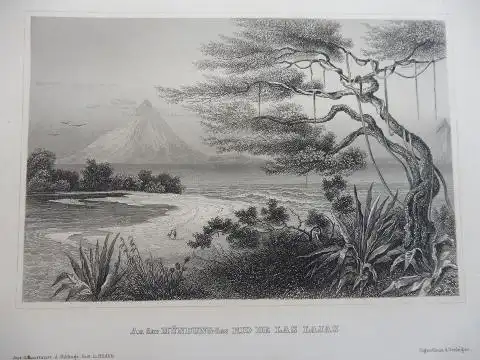 ORIGINAL- STAHLSTICH : An der MÜNDUNG des RIO DE LAS LAJAS. 