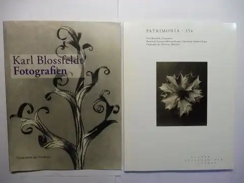 Heubisch, Wolfgang, Klaus Schrenk und Inka Graeve Ingelmann: Karl Blossfeldt *. Fotografien. Bayerische Staatsgemäldesammlungen, Sammlung Moderne Kunst Pinakothek der Moderne, München PATRIMONIA 354. 