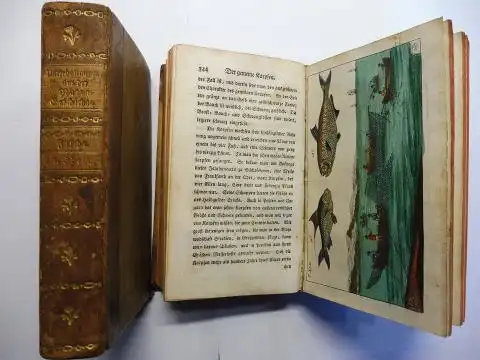 Wilhelm *, Gottlieb Tobias und Tamas: Unterhaltungen aus der Naturgeschichte - Der Fische erster Theil - Der Fische zweyter Theil. 2 Bände. Komplett. 