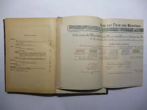 Woerlein *, Georg: Die Phanerogamen  und Gefäss Kryptogamen Flora der Münchener Thalebene (Talebene) mit Berücksichtigung der angrenzenden Gebiete nebst Aufzählung der sämtlichen von Garcke.. 