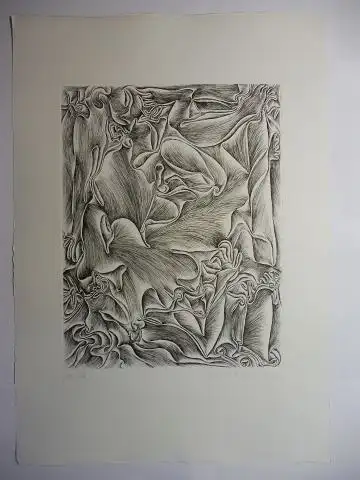 Nebiolo, Gino, Fritz Baumgartner * und Floriano De Santi