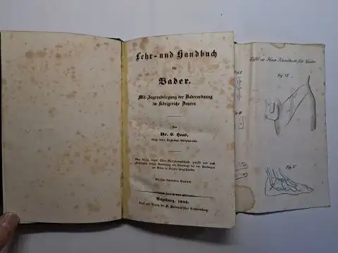 Haus, Dr. E: Lehr- und Handbuch für Bader *. Mit Zugrundelegung der Baderordnung im Königreiche Bayern. Mit einer illuminirten Steintafel. 