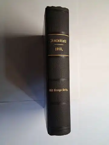 Straub (Verleger), F: Amtsblatt der Staatsministerien des Äußern, des Innern und für Soziale Fürsorge. Amtlich herausgegeben vom Staatsministerium des Innern. 1918. XLVI. Jahrgang. Amtsblatt Nr.. 