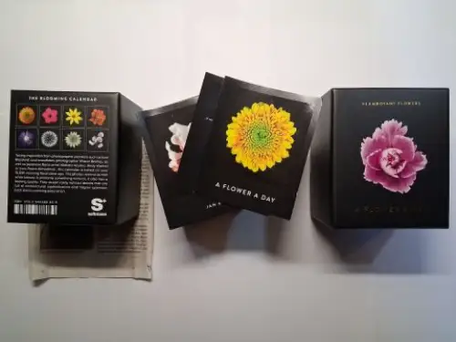 Meriel (Fotos), Nicolas and Oliver Seltmann: THE BLOOMING CALENDAR. FLAMBOYANT FLOWERS - A FLOWER DAY *. IMMERWÄHRENDER KALENDER. (Photographische Pflanzenbilder). 