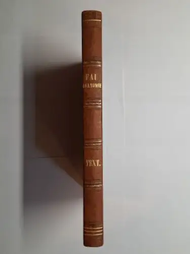 Fau *, J. (Julien): ANATOMIE DES FORMES EXTERIEURES DU CORPS HUMAIN, A L`USAGE DES PEINTRES ET DES SCULPTEURS PAR LE DOCTEUR J. FAU. TEXT. + AUTOGRAPH *. 