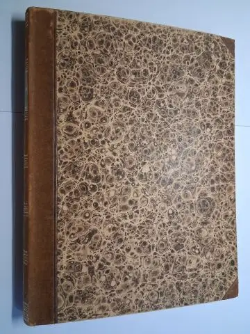 Arnim, Achim von: Trost Einsamkeit, alte und neue Sagen und Wahrsagungen, Geschichten und Gedichte. Zeitung für Einsiedler. Herausgegeben von Ludwig Achim von Arnim. Mit zehn.. 