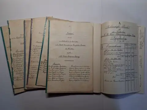 Seinsheim, Albrecht Graf von und Karl Freiherr von Freyberg: PROTOKOLL über die am Donnerstag, den 25. April 1901 (25. April 1902 / 24. April 1903.. 