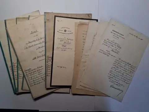 Seinsheim, Albrecht Graf von und Karl Freiherr von Freyberg: PROTOKOLL über die am Freitag, den 24. April 1908 (23. April 1909 / 25. April 1910.. 