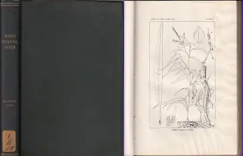 Missouri Botanical Garden. - Trelease, William / Charles V. Riley: Missouri Botanical Garden. Third annual report. Scientific Papers: Revision of North American species of Rumex- by William Trelease. // The Yucca Moth and Yucca Pollination by Charles V. R