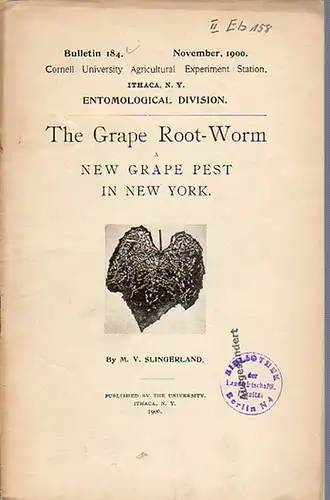 Slingerland, M. V.: The Grape Root-Worm a New Grape Pest in New York. (= Bulletin 184, November, 1900. Cornell University Agricultural Experiment Station, Ithaca, N. Y. Entomological Division).