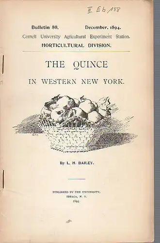 Bailey, L. H.: The Quince in western New York. (= Bulletin 80, December, 1894. Cornell University Agricultural Experiment Station. Horticultural Division.).