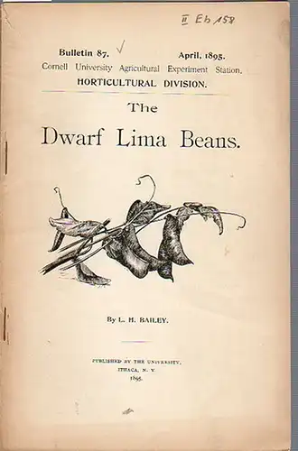 Bailey, L. H.: The Dwarf Lima Beans. (= Bulletin 87, April, 1895. Cornell University Agricultural Experiment Station, Horticultural Division).