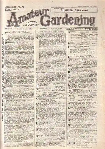 Amateur Gardening: Konvolut aus 37 Zeitschriften der englischsprachigen Zeitschrift Amateur Gardening. For Town and Country. Coloured Plate Every Week. Ausgaben aus der Zeit November 1928 - November 1929. 