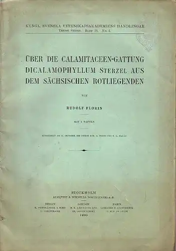 Florin, Rudolf: Über die Calamitaceen - Gattung Dicalamophyllum Sterzel aus dem sächsischen Rotliegenden. (Kungl. svenska vetenskapsakademiens Handlingar, tredje series, Band 18, No 4). 