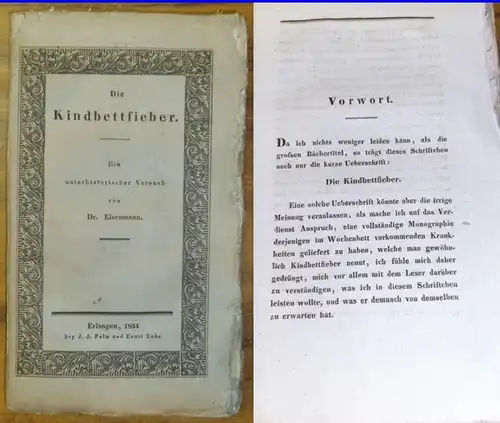 Eisenmann, Johann Gottfried: Die Kindbettfieber. Ein naturhistorischer Versuch. 