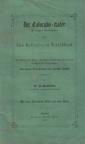 Gerstaecker, A: Der Colorado - Käfer (Doryphora decemlineata) und sein Auftreten in Deutschland. Im Auftrage des Königl. Preußischen Ministeriums für die wirthschaftlichen Angelegenheiten nach eigenen Beobachtungen und amtlichen Quellen dargestellt. 