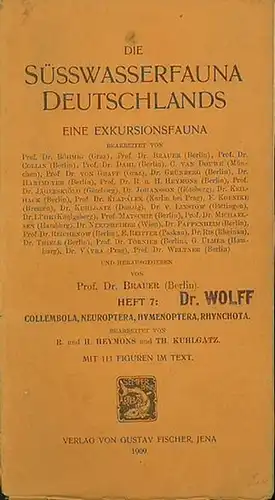 Heymons, R. und H. // Kuhlgatz, Th. - Herausgegeben von Prof. Dr. Brauer: Die Süßwasserfauna Deutschlands. Ein Exkursionsfauna. Herausgegeben von Prof. Dr. Brauer. Heft 7: Collembola, Neuroptera, Hymenoptera, Rhynchota. 