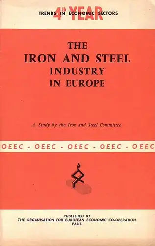 Iron and Steel Committee: The Iron and Steel Industry in europe. 