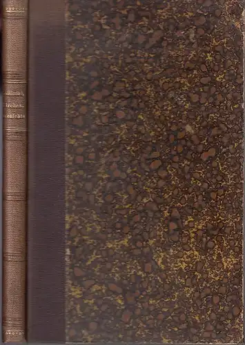 Koffmane, G: Abriss der Kirchengeschichte des Neunzehnten Jahrhunderts. 