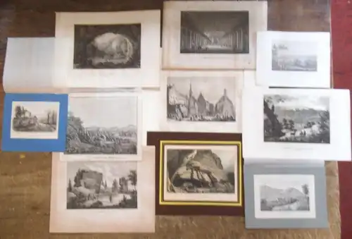 Meyer, J.   Rohbock, L. ; Oeder, L. ;  Faber, T. ; Frenzel ; Rouargue; Roberts, R. ; Rosmäsler und o. N. /.. 