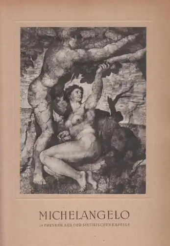 Michelangelo. 15 Fresken aus der Sixtinischen Kapelle