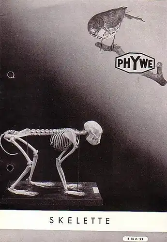 Phywe: Phywe - Skelette. Katalog. B 16 d / 52. 