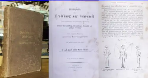 Schreber, D. G. M: Kallipaedie   Kallipädie oder Erziehung zur Schönheit durch naturgetreue und gleichmässige Förderung normaler Körperbildung, lebenstüchtiger Gesundheit und geistiger Veredelung und.. 