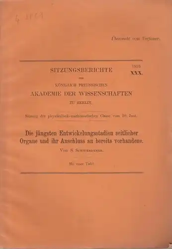 Schwendener. S: Die jüngsten Entwickelungsstadien seitlicher Organe und ihr Anschluss an bereits vorhandene. Sitzungsberichte der Königlich Preussischen Akademie der Wissenschaften zu Berlin, 1895, XXX. 