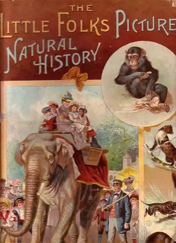 Step, Edward: The little folk's [ folks ] Picture Natural History. First glimpses of the animal world. 