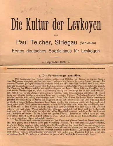 Teicher, Paul: Die Kultur der Levkojen. 