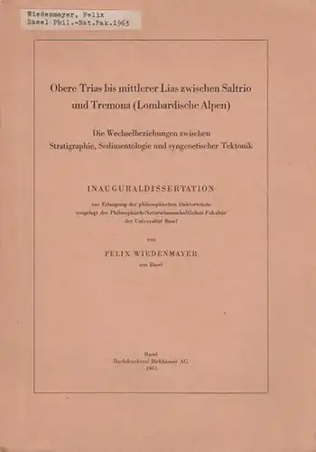 Wiedenmayer, Felix: Obere Trias bis mittlerer Lias zwischen Saltrio und Tremona (Lombardische Alpen). Die Wechselbeziehungen zwischen stratigraphie, Sedimentologie und syngenetischer Tektonik. 