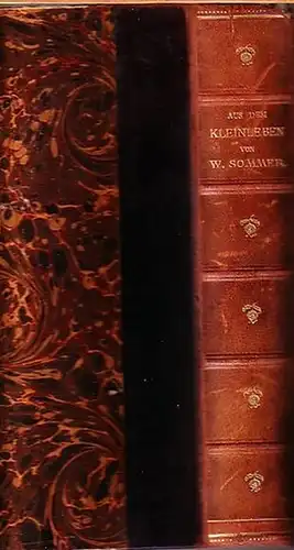 Sommer, Wilhelm: Geschichten aus dem Kleinleben. (= Erzählungen, Band 3). 