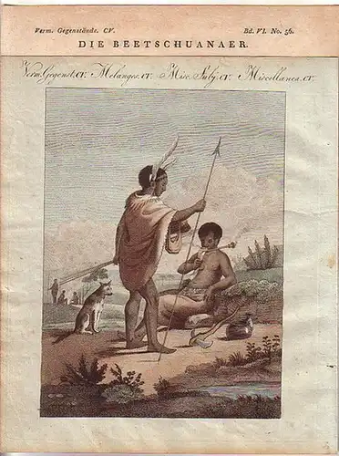 Afrika Ethnologie: 1 farbige Graphik  - 2 Beetschuanaer darstellend - mit beschreibendem Text. 