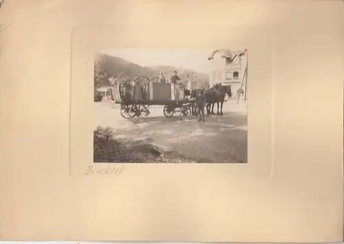 Deutsches Reich: 7 Schwarz-Weiß-Fotos auf Passepartouts: Fürstliche Bibliothek Wernigerode, Overbeck, Sohland am Rotstein, Friedersdorf 1930, Tiergarten Berlin, Lausitzer Gebirge, Familienfoto. 