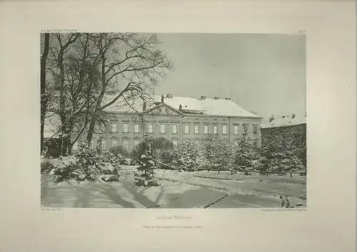 Berlin Tiergarten. - Rau, Otto: Aus dem Berliner Thiergarten. Blatt 17: Schloss Bellevue. Photographisches Studienblatt. 