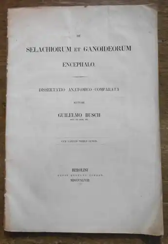 Guilelmus Busch (Wilhelm Busch): De Selachiorum et Ganoideorum Encephalo. Dissertatio Anatomico-comparata. 