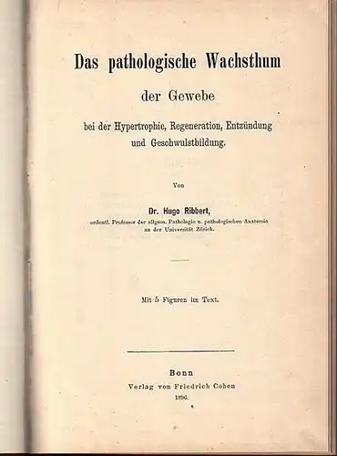 Ribbert, Hugo: Das pathologische Wachsthum der Gewebe bei der Hypertrophie, Regeneration, Entzündung und Geschwulstbildung. 