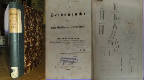 Mögling, Theodor: Die Seidenzucht und deren Einführung in Deutschland. 