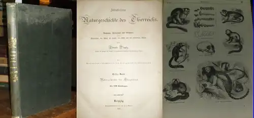 Pöppig, Eduard: Illustrirte Naturgeschichte des Thierreichs.  Erster Band: Naturgeschichte der Säugethiere. (= Anatomie, Physiologie und Geschichte der Säugethiere, der Vögel, der Lurche, Der Fische.. 