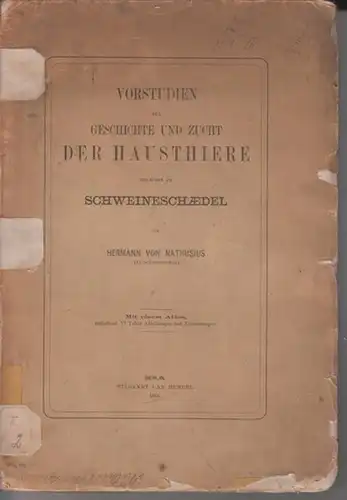 Nathusius, Hermann von: Vorstudien für Geschichte und Zucht der Haustiere zunaechst am Schweineschaedel. 