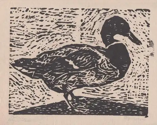 Hartmann, F: Original Holzschnitt Handdruck. 'Stockente.' Signiert. 